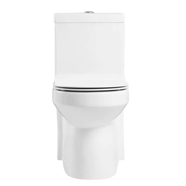 Fine Fixtures DualFlush Round OnePiece Toilet (Seat Included